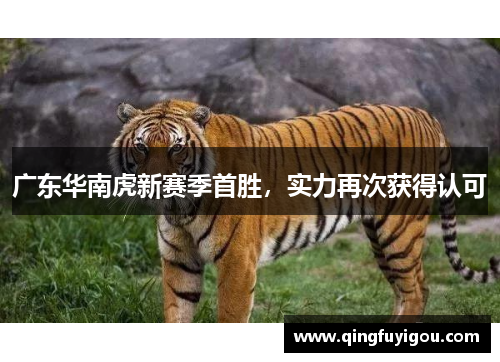 广东华南虎新赛季首胜，实力再次获得认可