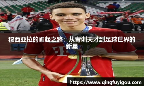 乐竟体育网址
